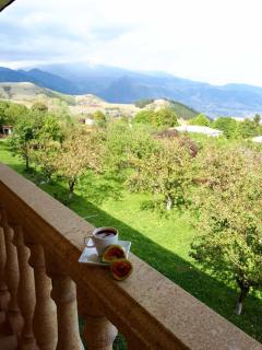 Odzun Hotel - Alawerdi - 9