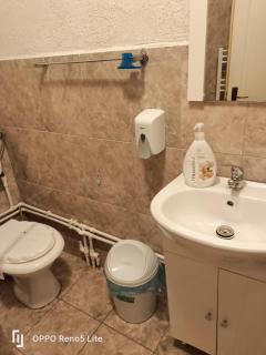 CASA ARIAN - Haţeg - 6