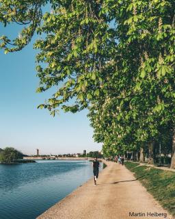 Willemoesgade - Copenhagen - 7