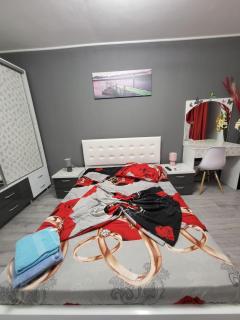 Apartament Cristian Relax - Olimp - 5