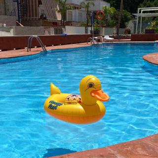 Cala Holidays vicino Aeroporto&Mare - Carini - 1