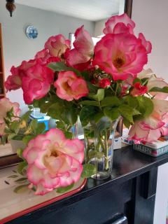 May Rose Cottage - Sigglesthorne - 6