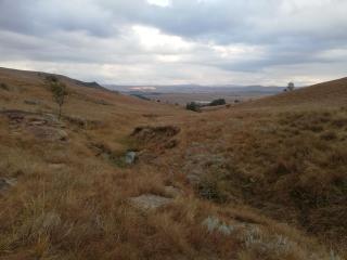 Sheeprun Farmstay - 5