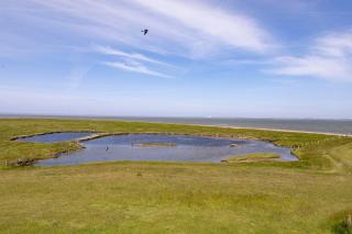 Anker's Hörn - Hotel & Restaurant auf der Hallig Langeness - Langeneß - 8