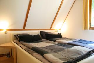 Haus 114 - Nurdachhaus - - Bad Arolsen - 8