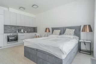 Apartment Karel with garage parking - Praga - 0