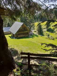 Brunarica na Goreljeku - Bohinj - 9