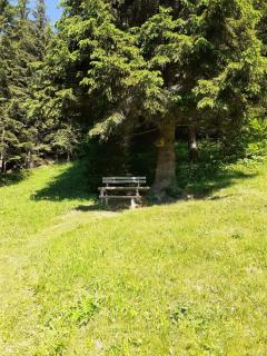 Brunarica na Goreljeku - Bohinj - 1