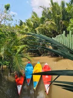 Ba Danh Homestay & Kitchen - Ben Tre Mekong - Ben Tre - 1