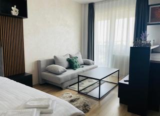 Q Room Apartment - Palas Center - Iaşi - 2