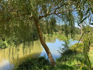 La Maison Rouziès - 6