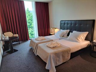 Axis Viana Business & SPA Hotel - Viana do Castelo - 6