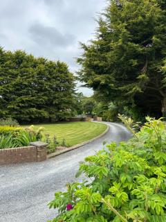 Long View Guest Accommodation - Downpatrick - 6