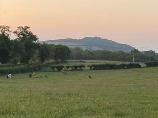 Long View Guest Accommodation - Downpatrick - 5