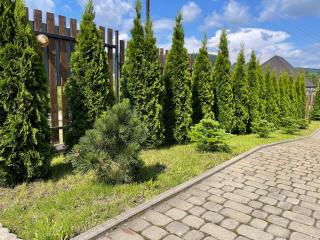 TOTEM - Skhidnytsia - 3