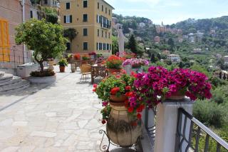 B&B Villa Orchidea - Camogli - 1