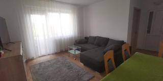 Old Town Apartment 2 bedrooms, 1 living - Baia Mare - 8