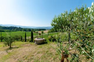 Villa Colle di Giotto Mugello, Tuscany - Borgo San Lorenzo - 1