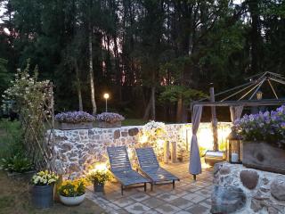 Mellene 1 bedroom house in nature & hot tube - Turaida - 1