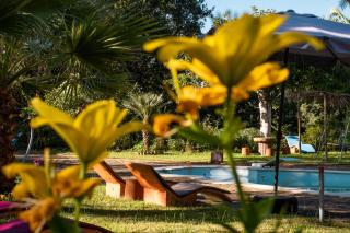Quinta dos Sarilhos - 1