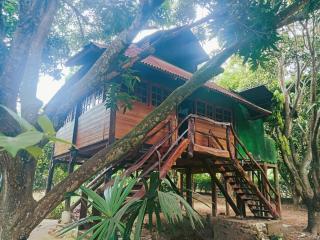 Finca Los Mangos - Palomino - 3