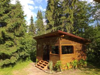 Pin chalet - Borzont - 3
