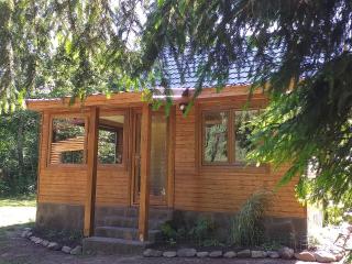 Pin chalet - Borzont - 4