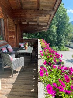 Ferienwohnung Gamsbock Panorama View Balkon, Gartensauna, Garten, Grillplatz - Stumm - 9
