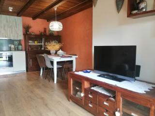 Apartamento con jardín privado y acogedor Puig Falcó 2 - Pla de l'Ermita - 1