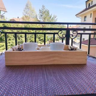 Apartman Stojanović Zlatibor - 2