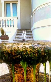 Villa La Torretta Luxury B&B - Adults Only - - Rimini - 4