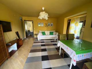 Bela Rada Apartment - Soko Banja - 1