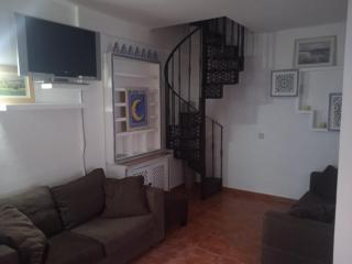 Facinas Iris - 1
