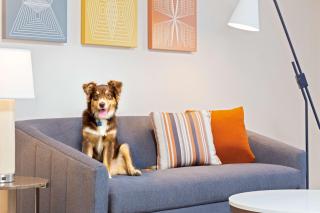 Homewood Suites by Hilton Boston/Canton, MA - Canton - 1