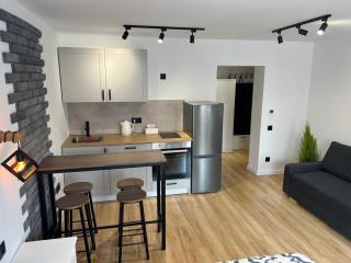 White and Black Apartments - Katowice - 6
