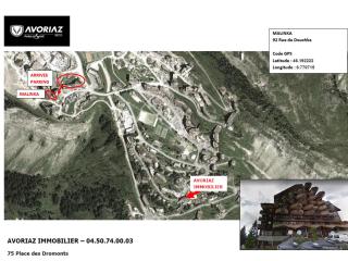 Avoriaz: appart rénové 4 pers, proche pistes, WiFi, casier à skis - FR-1-633-32 - Avoriaz - 3