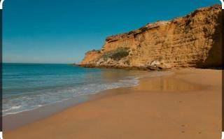 Casa Cati Centro - Conil de la Frontera - 9