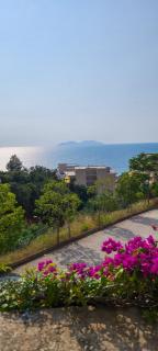 Deda's Summer Apartments - Vlorë - 9