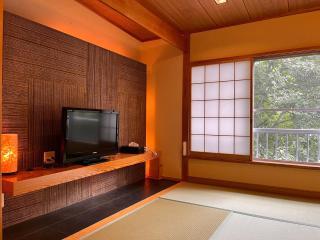 丸山鉱泉旅館 - 7