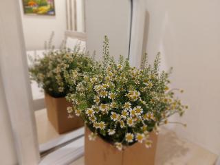 Ben Thanh Station Hotel - 4