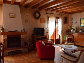 Séjour bucolique en Sologne avec chambres confortables dans maison accueillante - FR-1-590-359 - - 8