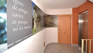 Apartamentos Turisticos Dormi2 - Zamora - 7
