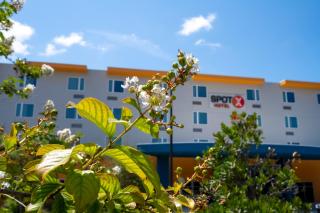 SPOT X Hotel Orlando Intl Dr by The Red Collection - 8