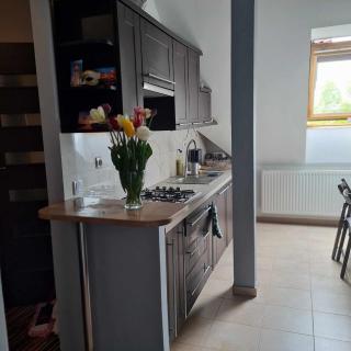 APARTAMENT WAKACYJNY U LENKI - Giżycko - 6
