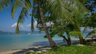 Soul Villas - Beachfront Private Pool Villas, Phuket Nature Retreat - Panwa Beach - 2