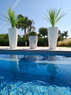 Suite12 - Marsala - 0