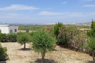 Studio Angelika - Glinado Naxos - 2