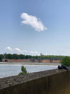 Charmant T2 dans Toulouse - Tolosa - 9