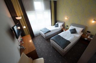 Hotel Alina - Wiesbaden - 8