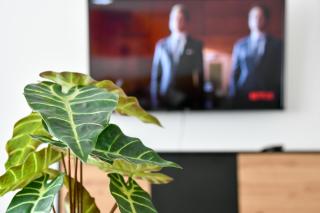 Ferienwohnungen am Theater - modern, zentral und ruhig mit Küche, Waschtrockner, Netflix, Wlan und Parkplatz- 2 Zimmer, 52 qm - Cottbus - 5